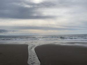 川から海へたどり着く
