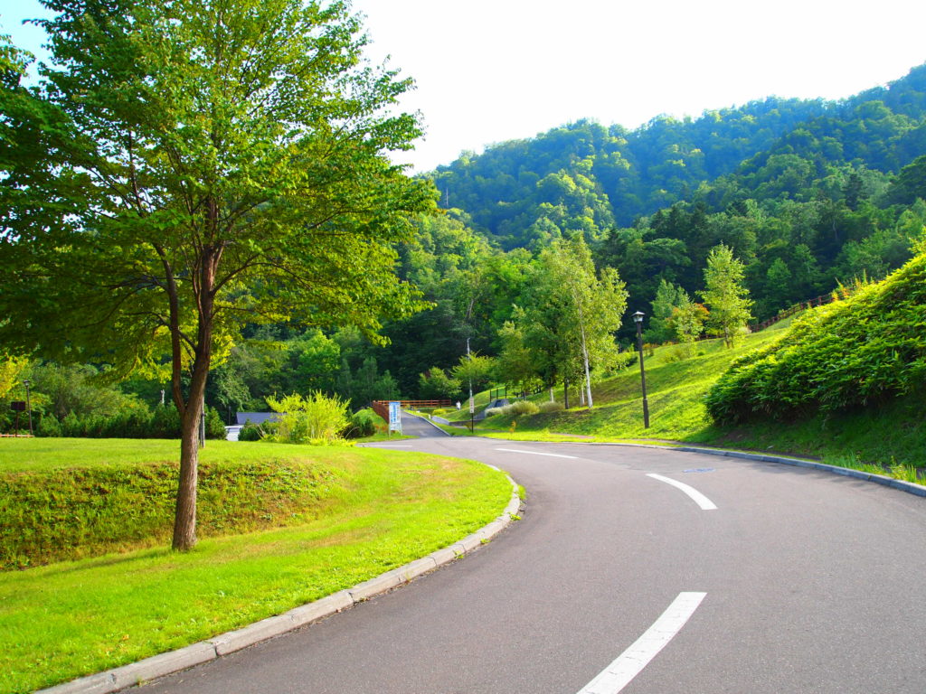 カーブの道