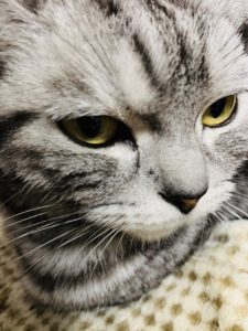 いや
