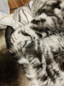 顔かくし