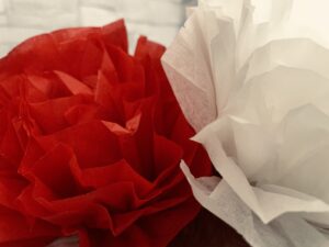 紅白の花